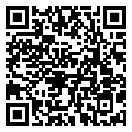 QR code to leave a review for Callapainter